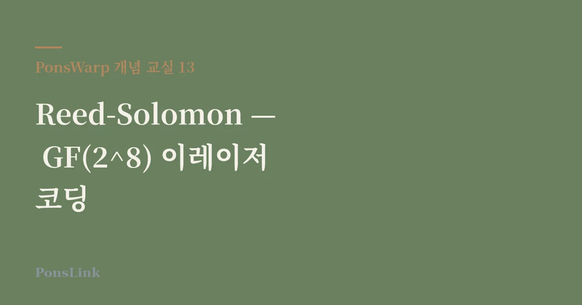 [PonsWarp 개념 교실 13] Reed-Solomon — GF(2^8) 이레이저 코딩